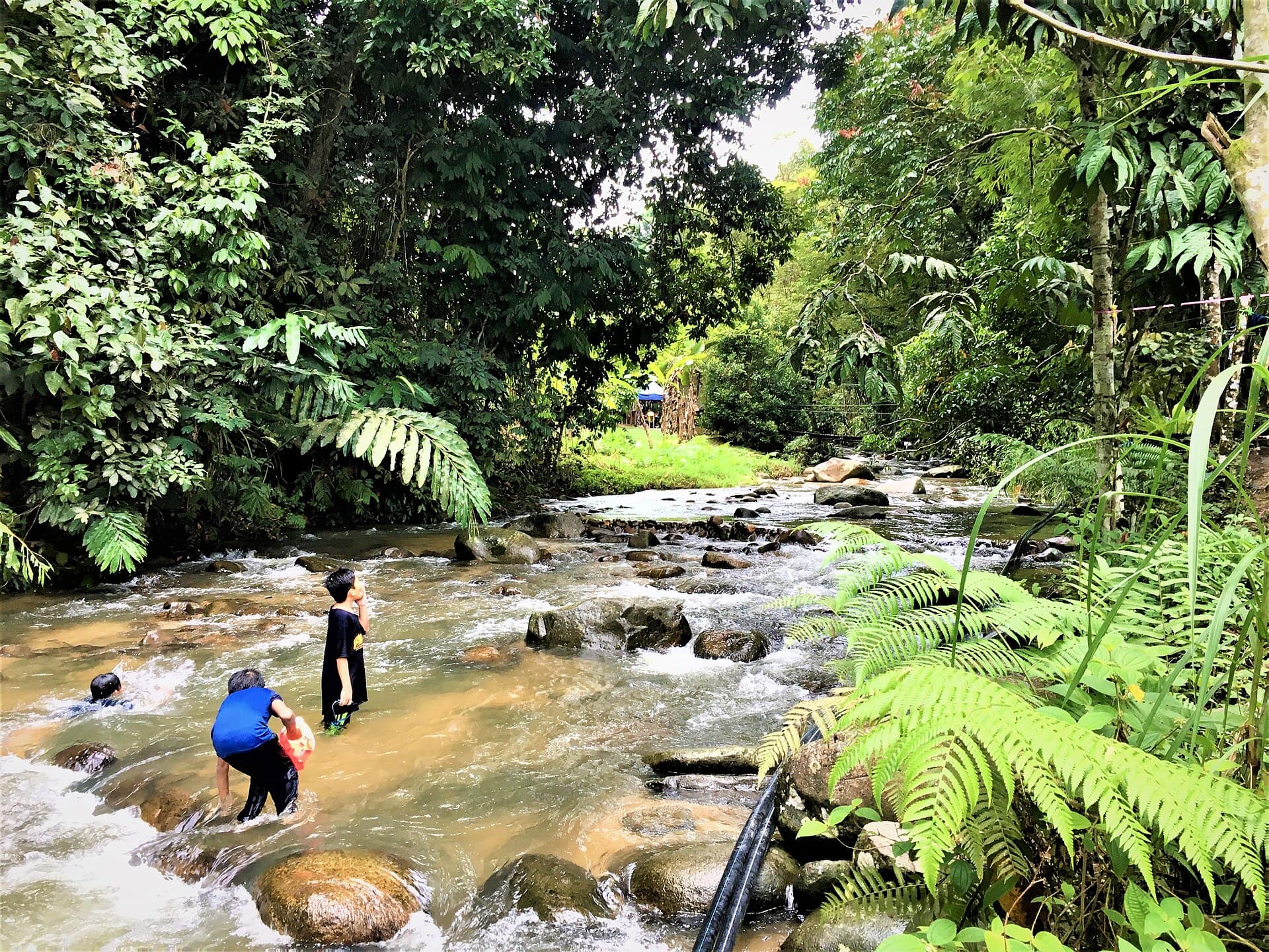 Visitors cooling off in a shallow rocky stream of the Benus River, Janda Baik