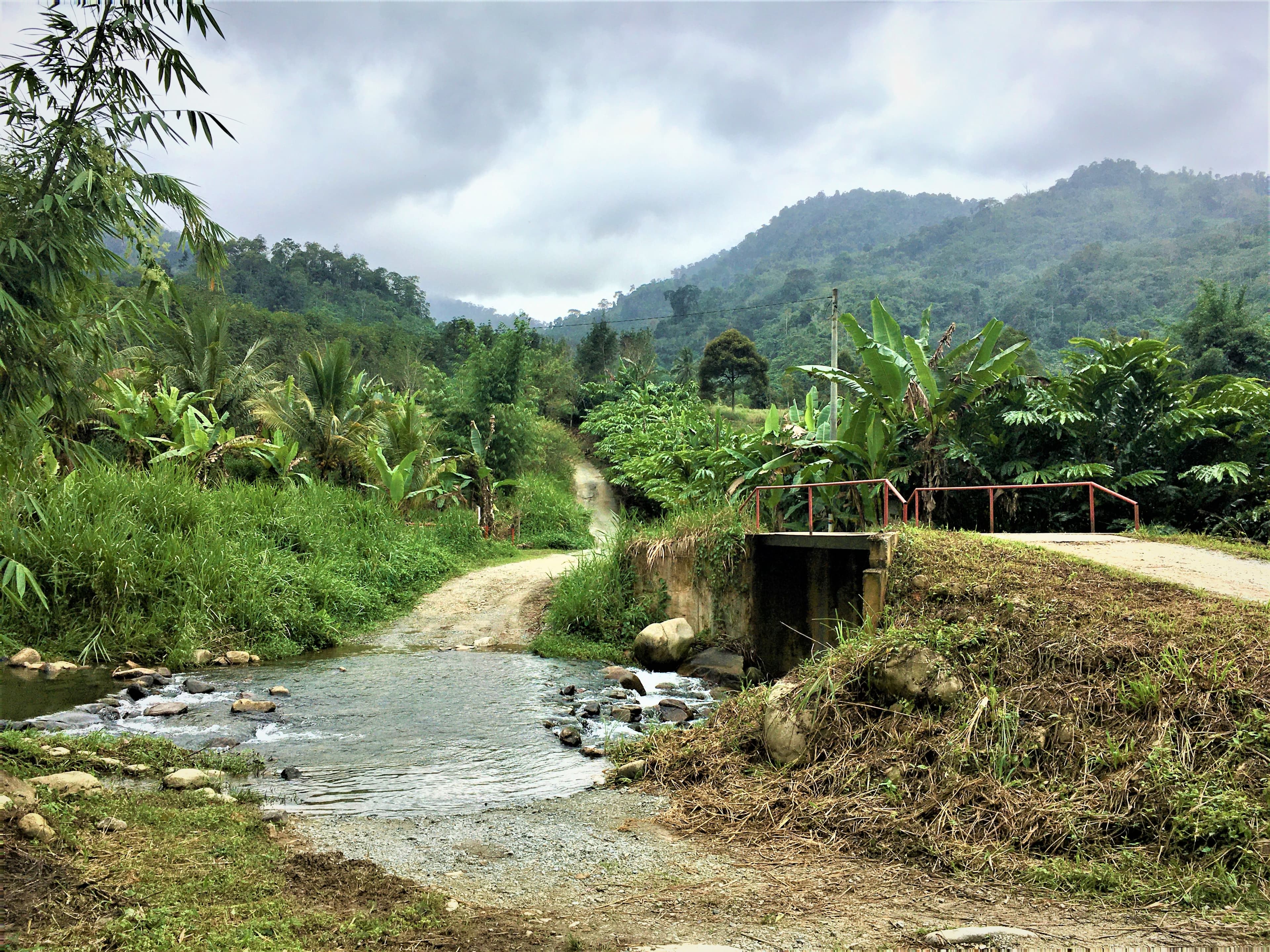 Hiking in Janda Baik