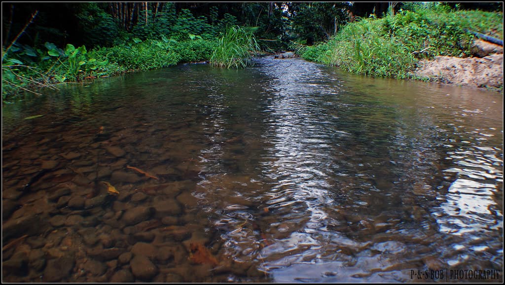 Janda Baik highland landscape
