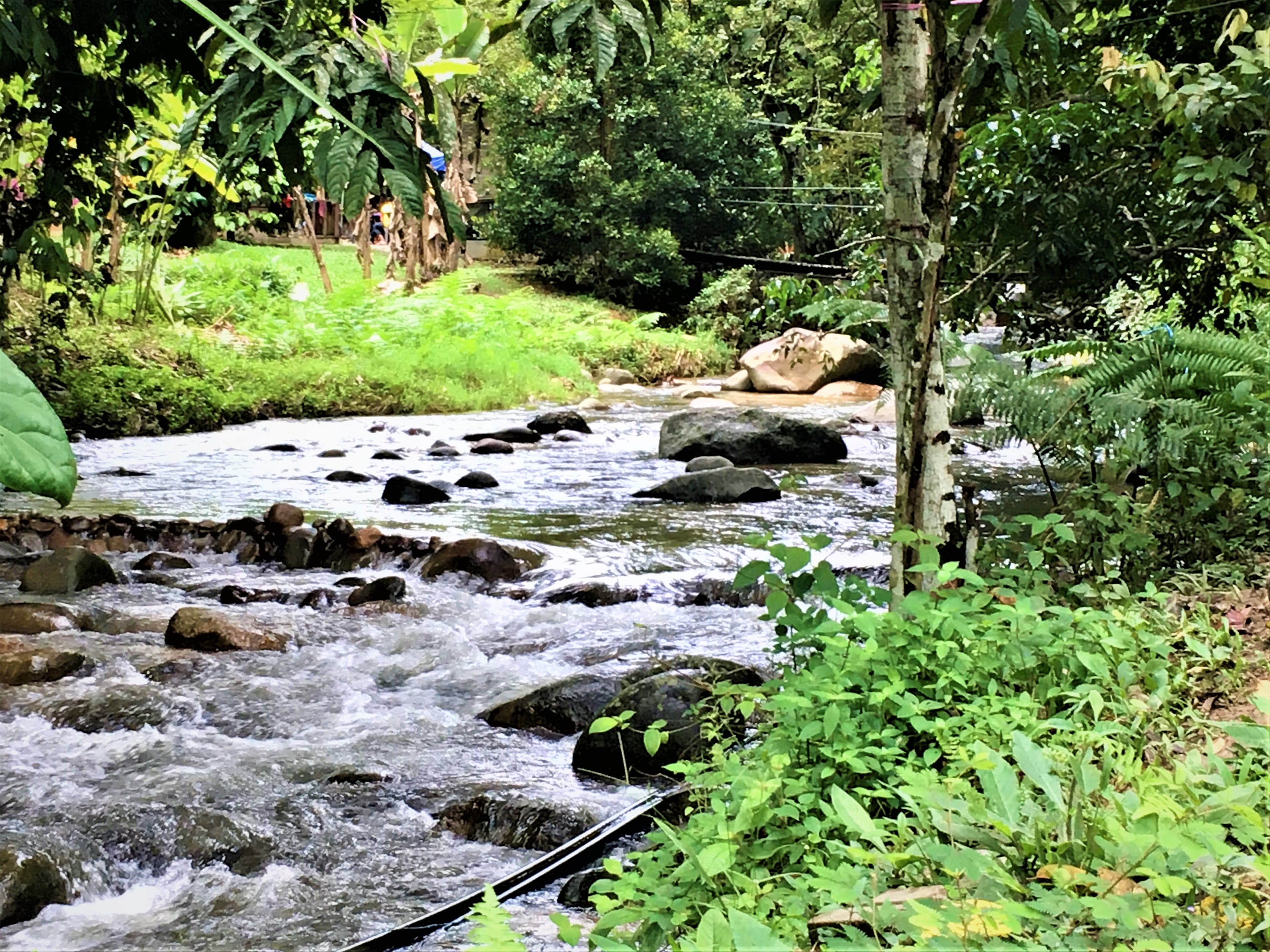 Sungai Benus river flowing through Janda Baik valley