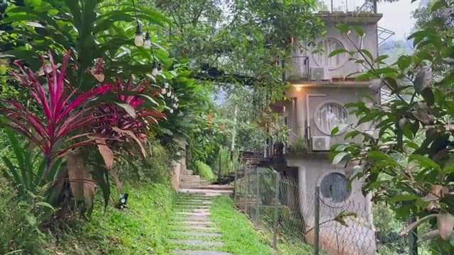 Still from "Hobbit House Stay in Malaysia's Misty Mountains 🌿🛖 | Peaceful Highland Retreat"